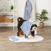 Bone Dry Microfiber Trellis Printed Pet Towel 3 Piece Set, Stonewash Blue - 3 of 4