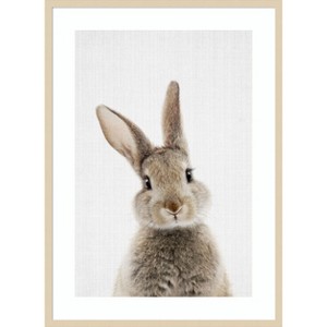 Amanti Art Peekaboo Bunny by Lola Peacock Wood Framed Wall Art Print - 1 of 4