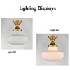CLAXY Modern Gold Ceiling Light with Textured Glass Shade - 4 of 4