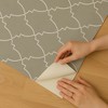 Veer Decor Medina Trellis Peel and Stick Wallpaper - 3 of 4