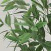 Artificial Tree Plant Eucalyptus Tree 5 FT Tall, Modern Large Fake Plant Decor in Pot for Indoor Outdoor,Home Office Ideal Housewares,Eucalyptus Tree - 2 of 4