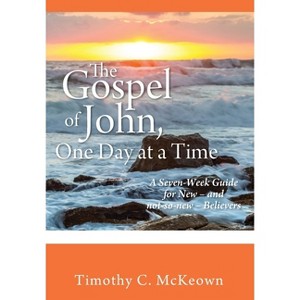 THE GOSPEL of JOHN, ONE DAY at a TIME - by Timothy C McKeown - 1 of 1