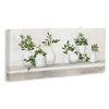 Stupell Industries Traditional Potted Cottage Plants, 30" x 13" - 3 of 4
