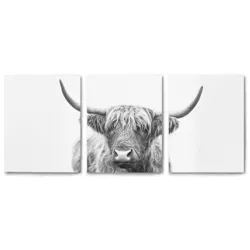 Americanflat Highland Bull Horns by Sisi and Seb Triptych Wall Art - Set of 3 Canvas Prints