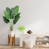 4 Ft/5FT/6FT Bird of Paradise Artificial Plant, Artificial Bird of Paradise Plant,1pack or 2pack - 2 of 4