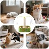 Cat Puzzle Toys Interactive Cat Dancer for Indoor Cats Teasing Box with Squeaky Toys and Scratching Felt - 3 of 4