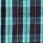 tidal green plaid