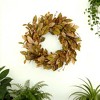 20'' Fall Wreath Autumn Wreath for Front Door with Brown Magnolia Leaves and Small Pomegranate Fruits for Home Outdoor Decoration - 4 of 4
