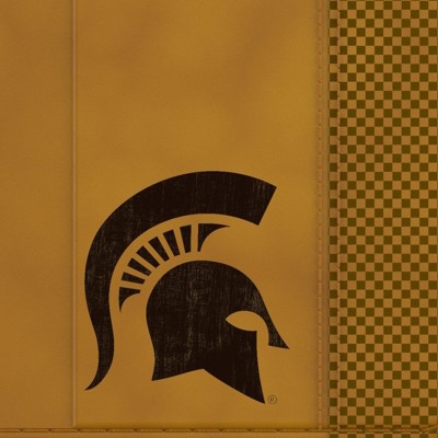 michigan state spartans