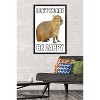 Trends International Capybara - Be Cappy Framed Wall Poster Prints - 2 of 4