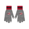 NHL Carolina Hurricanes Gray Big Logo Glove: Knit Acrylic, Ribbed Cuffs, Adult Size - 2 of 4