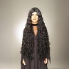 Forum Novelties Mesmerelda Long Goddess Black Adult Costume Wig - 3 of 4