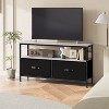 50 Inch TV Stand for Living Room, Dresser TV Stand for with 2 Drawers, Small Entertainment Center with Storage - 2 of 4