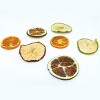 6" 250 Gram Mixed Potpourri- Red and Green Apples, Sliced Citrus - 4 of 4
