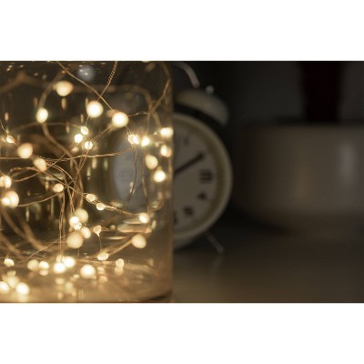 Enbrighten 20&#39; Basics Series String Fairy Lights_1