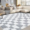 Washable Area Rugs, Modern Plaid Rugs for Living Rooms, Stain-Resistant Soft Geometric Rugs, Foldable Non-Slip Decorative Rugs - 3 of 4