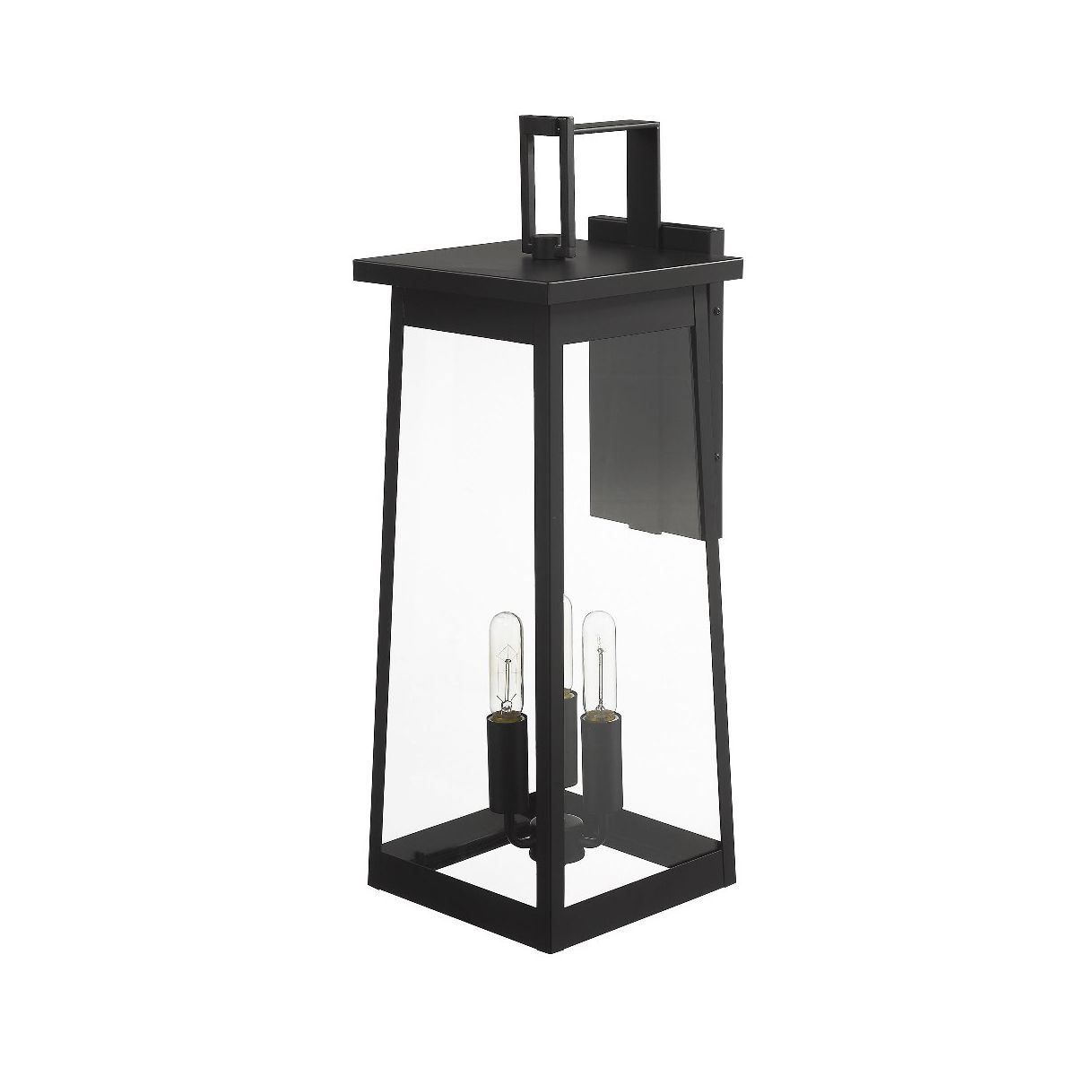 Acclaim Lighting Alden 3 - Light Wall Light in  Matte Black