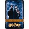 Trends International Harry Potter and the Philosopher's Stone - Ron & Hermione Unframed Wall Poster Prints - 4 of 4