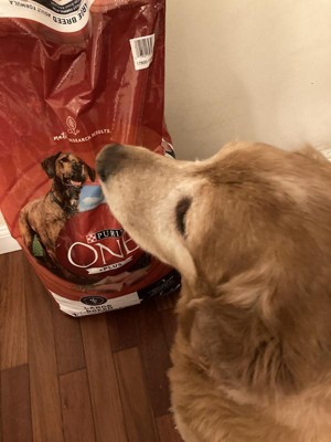 Purina ONE SmartBlend Natural Large Dry Dog Food