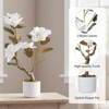 24inch  Artificial Magnolia Tree 2-Pack, Faux Flowers with Green Leaves in White Pots for Home & Office Decor - 3 of 4