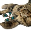 Unique Bargains Cat Feather Plaything Cat Wand Replacement Feathers Peacock Green 3 Pcs - 4 of 4