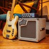 Aguilar SL110 1x10 Bass Speaker Cabinet Fawn - 2 of 2