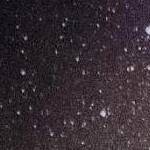 clear push pins bundle