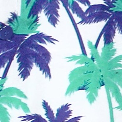 palm tree blue