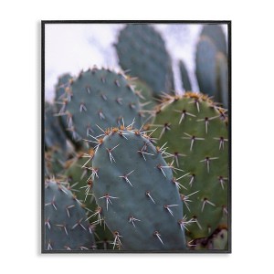 Stupell Industries Prickly Cactus Thorns Close Up Photography Desert Vegetation Framed Giclee Art, Black, 11" x 14" - 1 of 4