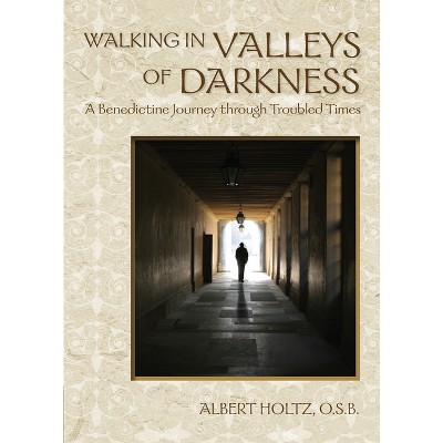 Walking in Valleys of Darkness - by  Albert Holtz (Paperback)