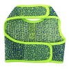 Doggie Design Active Mesh Dog Harness with Leash - Neon Green & Blue - 2 of 3