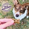 Old Mother Hubbard by Wellness Classic Crunchy P-Nuttier Biscuits Mini Oven Baked with Carrot, Apple and Chicken Flavor Dog Treats - 4 of 4