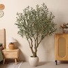 DR.Planzen Lifelike 6ft Artificial Olive Tree with Dual Trunk Design, White Round Planter Faux Olive Tree for Indoor Outdoor Home Decor - 2 of 4