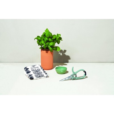 Modern Sprout Kitchen Harvest Bundle Set - Indoor Garden Accessories, Grow Kit, Organic, Tea Towel