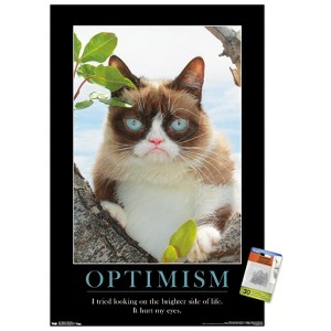 Trends International Grumpy Cat - The Brighter Side Unframed Wall Poster Prints - 1 of 4