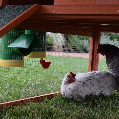 Green Plastic Elevated Poultry Waterer with Mounting System, 2-Pack