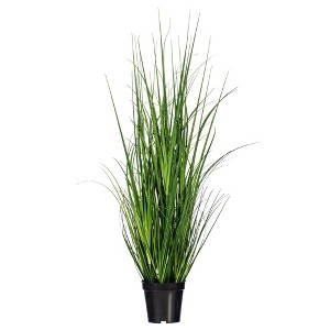 Green Lemongrass Potted - 1 of 4