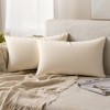 Unique Bargains Velvet Modern Solid Couch Sofa Home Decorative Pillow Covers 2 Pcs - 2 of 4