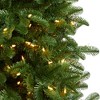 Nearly Natural 7-ft South Carolina Fir Artificial Christmas Tree with 550 Clear LED Lights and 2078 Bendable Branches - 4 of 4
