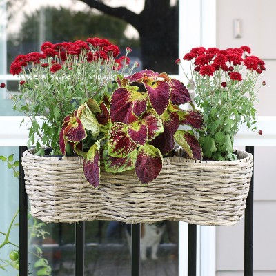 Frost Polyrattan Over-the-Rail Tri-Planter with Black Liners