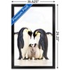 Trends International A Group Of Emperor Penguins Framed Wall Poster Prints - 3 of 4