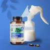 Motherlove More Milk Moringa Vegan Dietary Supplement Capsules - 120ct - 2 of 2