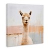 Stupell Industries Rustic Llama Portrait, 36" x 36" - 3 of 4