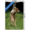 Trends International Famous Kitten Hang In There Poster Unframed Wall Poster Prints - 3 of 4