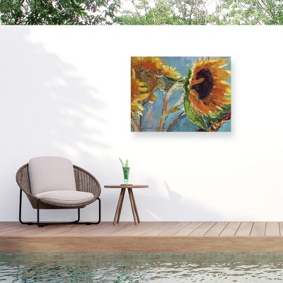 Trademark Fine Art - Richard Wallich Sun 11 Matted Framed Art