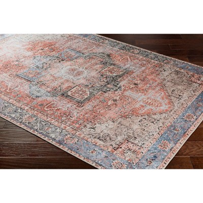 Traditional Red and Blue Chenille Rectangular Area Rug