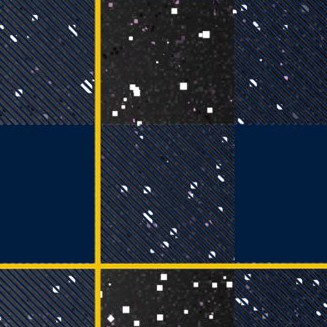 michigan wolverines