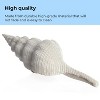 biOrb Sea Shell Set Aquarium Sculptures - White - 4 of 4