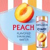 SANPELLEGRINO CIAO! Peach Sparkling Water - 11.15 Fl Oz (pack of 18) - 4 of 4