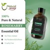 Rosemary Essential  oil |  | Essential Oil for Skin Tag Remover, Massage Oil & Humidifier | 4 Fl Oz (120 mL) - 2 of 4